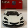 SLOT CAR NSR 0394 CORVETTE C8.R TEST CAR WHITE